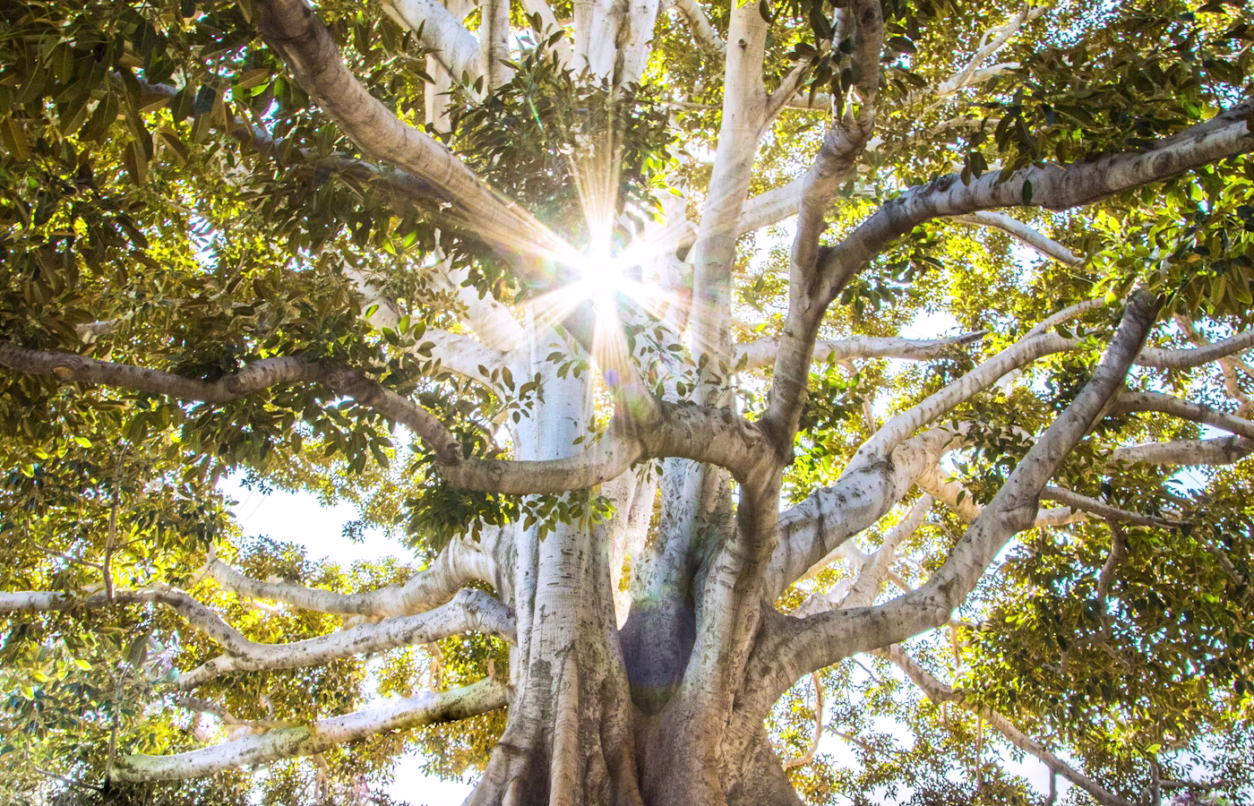Ментальное здоровье онлайн в Москва